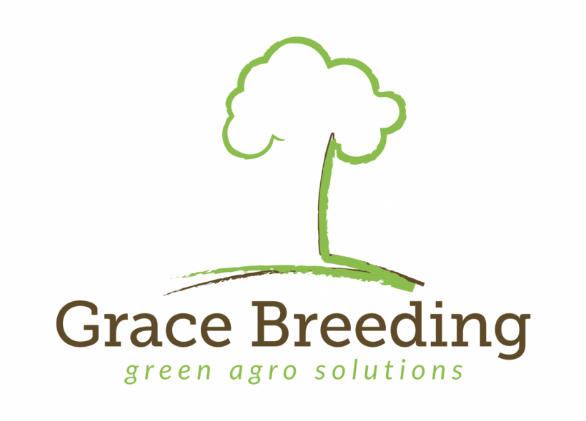 Grace Breeding