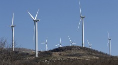 Wind Turbines Kill Birds, Bats; Conservation Biologist Suggests Mitigating Renewable Energy's Effects on Wildlife