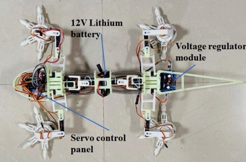 A prototype of the team's lizard-inspired quadruped robot. 