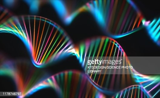 DNA (deoxyribonucleic acid) molecules, computer illustration.