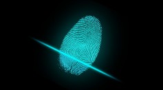 Why Are There No Two Fingerprints Alike? New Study Reveals How These Intricate Patterns Are Made 
