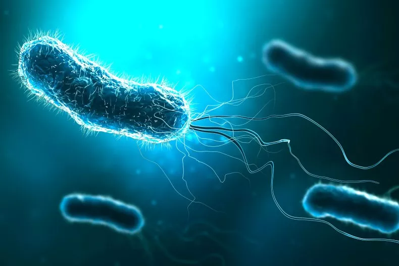 Stock image: Artist's illustration of bacteria. A man in India contracted a “flesh-eating” bacteria that results in the destruction of body tissue.