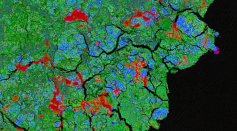 An image of a sample of the meteorite showing terrestrial alterations in red and purple. 