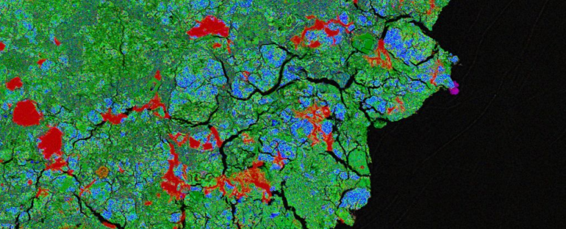 An image of a sample of the meteorite showing terrestrial alterations in red and purple. 