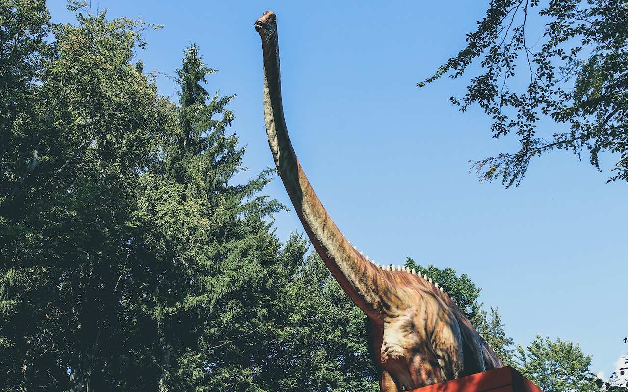 vooroordeel tolerantie Yoghurt Longest Dinosaur Neck Could Have Been 15 Meters Long; Why Did Sauropods  Have This Unique Feature? | Science Times