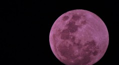 Full Pink Moon: How, When to See the Famous Night Sky Event This Easter Week