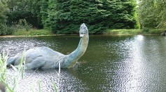 Serpent-Like Creature in New Orleans City Park Lagoon Sparks Loch Ness Monster Rumors [Watch]