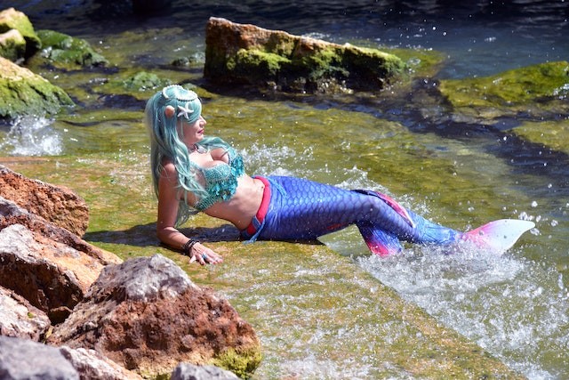 Merle the Eco Mermaid From Florida Wants to Set 5th Guinness World Record for Swimming 50 Kilometers to Collect Trash