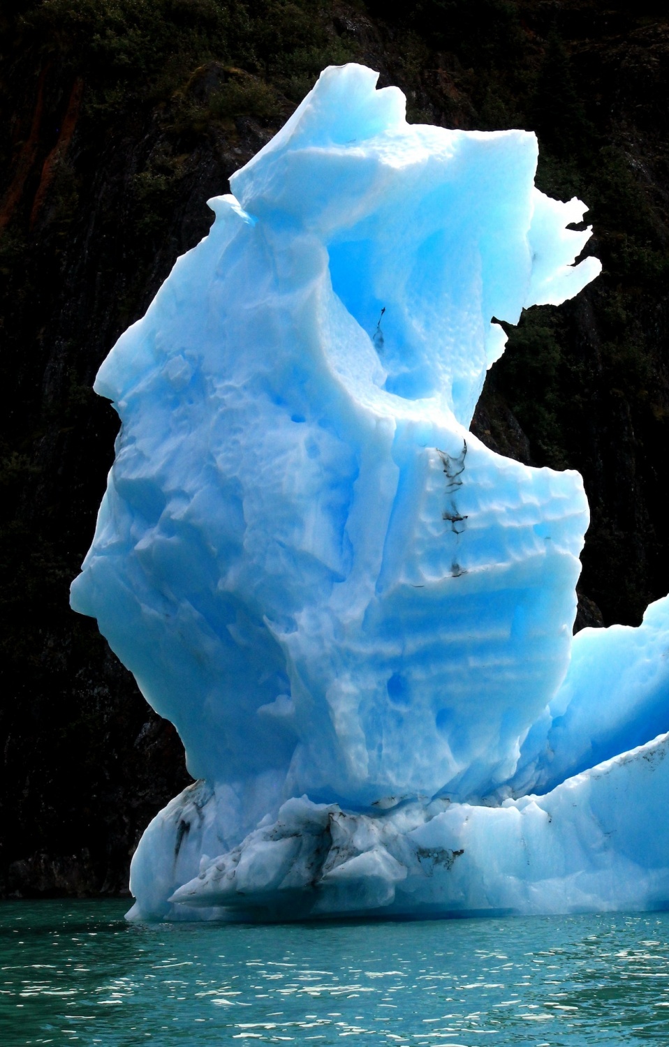 Massive Phallus-Shaped Iceberg Was Spotted Floating off the Coast of ...