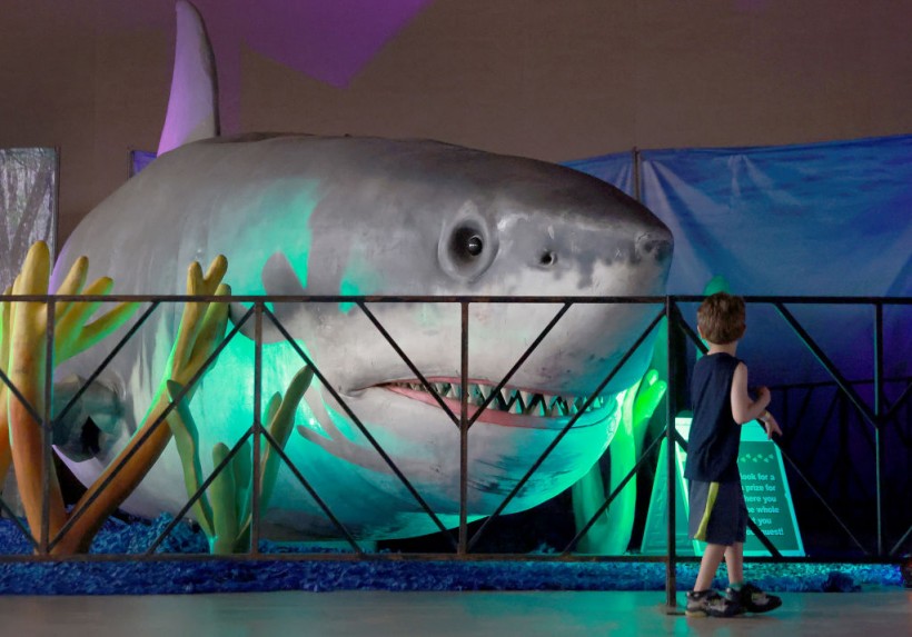 Large Scale Animatronic Dinosaur Exhibit Opens In Fort Lauderdale