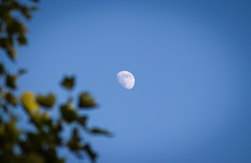 Afternoon Moon, Blue Sky At Night Visible This Week: Here's How and When To See It