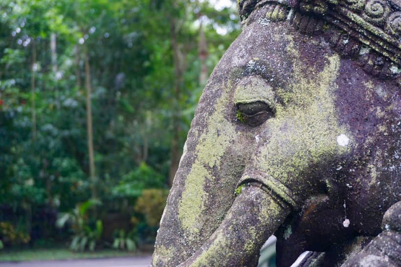 2,300-Year-Old Elephant Statue Unearthed in Eastern India Sheds Light on Buddhist Heritage