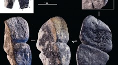 42,000-Year-Old Oblong Artifact Could Be the Earliest Known Phallic Figurine in the World