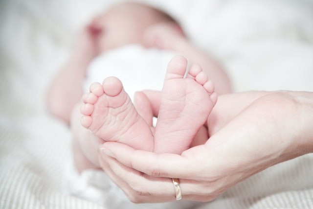 Babies Born With Tails Need Greater Medical Attention, Case Is Not A Harmless Vestigial Trait