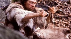 Evidence of Neanderthal Cannibalism Unearthed in a Cave in Spain, Suggesting Juveniles Were Victims of Savage Attack