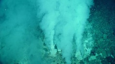 Deep Sea Bacteria with Magnetic Properties Provides Clues in Searching for Extraterrestrial Life