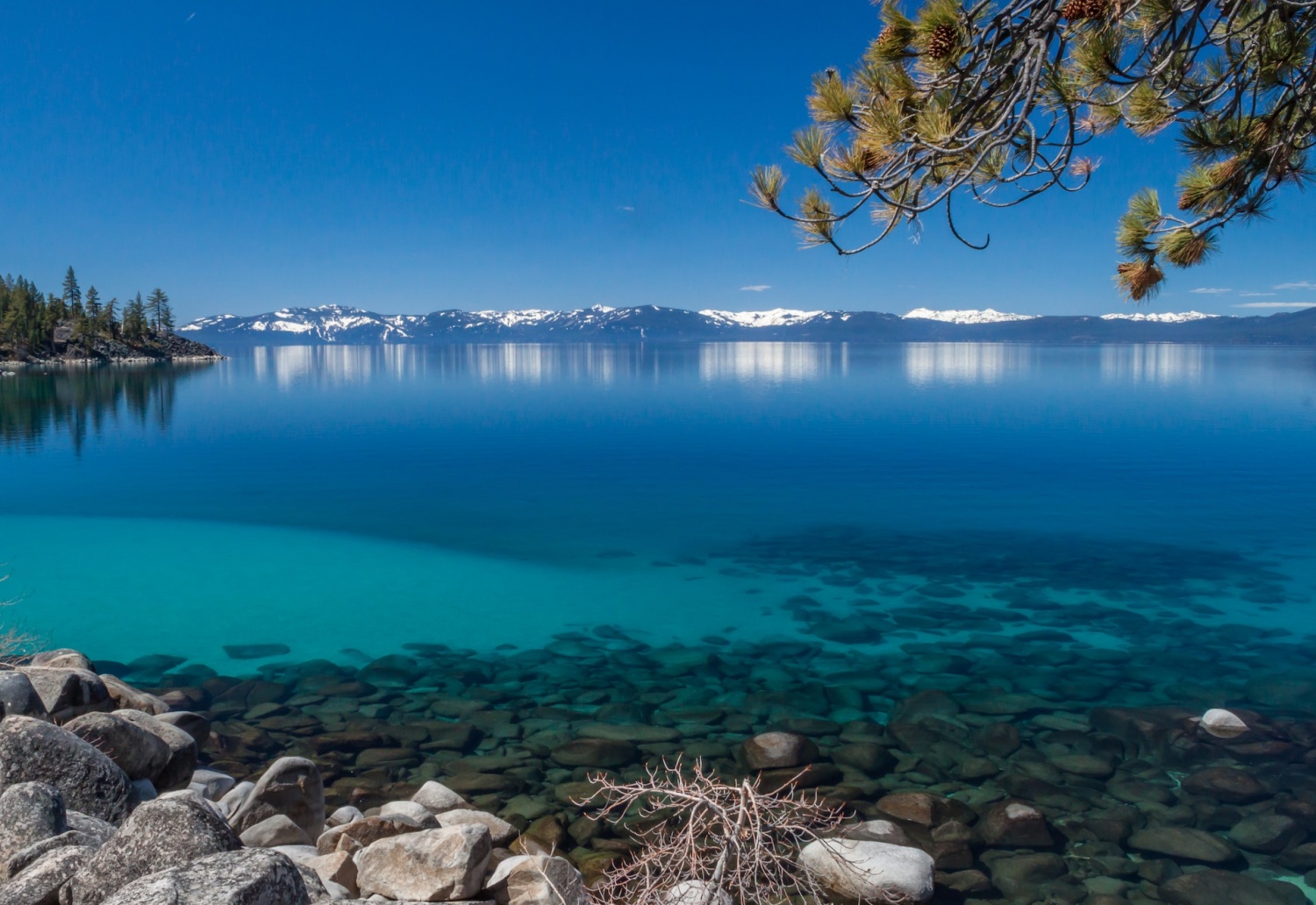 BeachCleaning Robot To Pick Up the Trash Left at Lake Tahoe After the