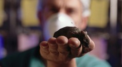 New Scanning Method Using Dead Transparent Mouse Can Improve Cancer Drug Testing [Study]