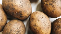 Can Protein in Potato Help in Building Body Mass? Scientists Investigate Its Effectiveness in Muscle Synthesis