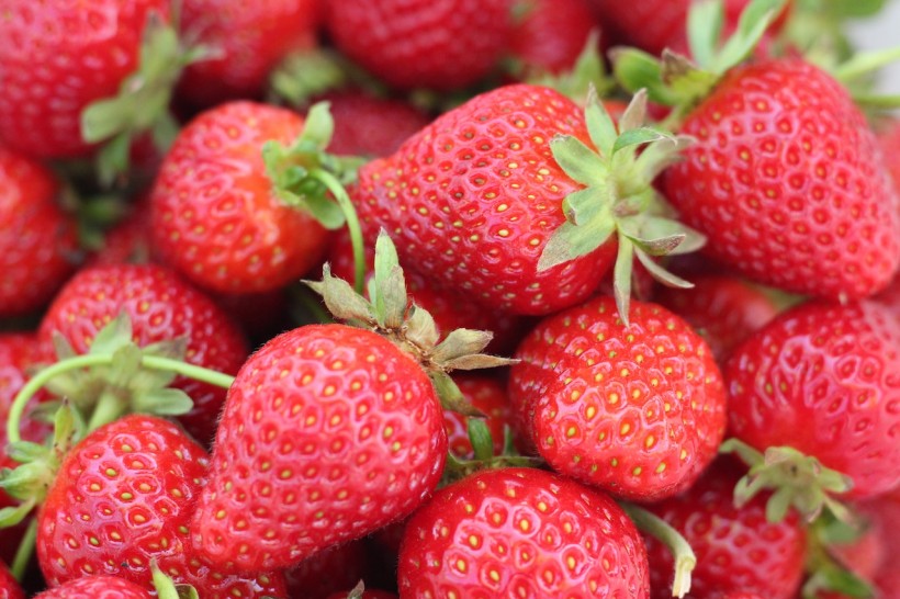 Is Strawberry a Fruit? Solving the Botanical Conundrum of the World's Most Consumed 'Berry'