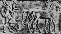Ancient Charioteer