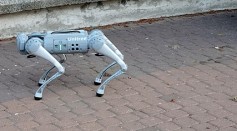 Go2 Robot Dog Can Talk, Perform Handstands, and Take Pictures of Its Owner; Is This Super Intelligent Companion the Pet of the Future?