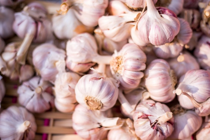Organic Garlic Unveiled: Exploring Its Top Health Benefits and Superfood Secrets