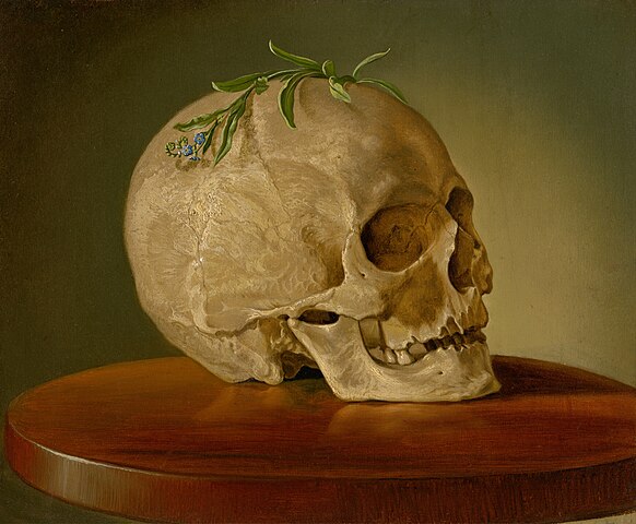 skull and neck bones