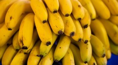 Can You Die From Low Potassium? Symptoms, Causes of Hypokalemia