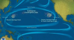 Great Pacific Garbage Patch: Thriving Ecosystem Emerges Amidst Massive Marine Debris Concentration, Raising Concerns