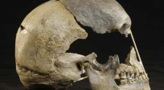 45,000-Year-Old Woman's Facial Approximation Reveals Ancient Human-Neanderthal Features