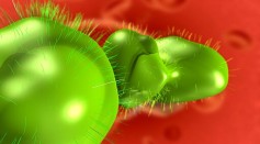 Novel Antiviral Drug Kills Viruses by Bursting Their Bubble-Like Membranes, Provides New Approach in Fighting Infections