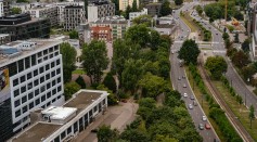 Trees Do Not Always Lead to Improved Urban Air Quality, Contributes to Air Pollution, Study Reveals