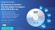 How to Rip DVD to MP4 of High Quality--VideoByte BD-DVD Ripper
