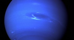 Earth-Based Observations Reveal the Secrets of Neptune's Dark Spot and Its Puzzling Bright Companion