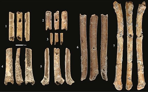 12,000-Year-Old Flutes Made From Bird Bones Discovered in Israel; Show Glimpse of Ancient Natufian Culture