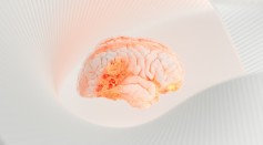  Artificial Brain Developed to Replicate the Functions of Neural Mechanisms, Mimics the Processes Involved in Learning and Memory