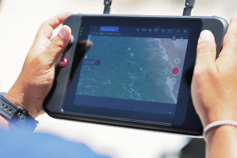 New York To Deploy Shark-Monitoring Drones Along State Beaches