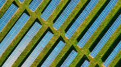 Solar Panels on a Green Field