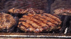 'Exotic' Cultivated Meat Not as Harmless as Previously Claimed, Could Threaten Endangered Animals