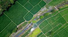 Bird's Eye View of River in Middle of Green Fields