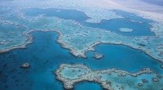 Groundwater Discharge of Hidden Nutrient Source Imperiling Great Barrier Reef's Health
