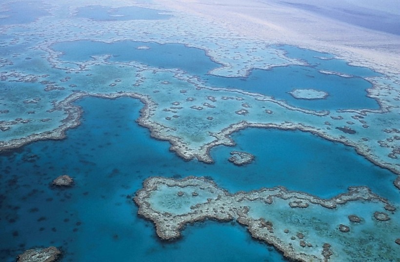 Groundwater Discharge of Hidden Nutrient Source Imperiling Great Barrier Reef's Health