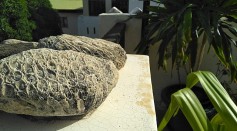 Very Rare Ancient Decorated Stone Unearthed in Spain; What Is It?