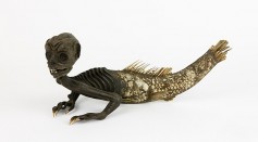 Fiji Mermaid Mummy Scan Confirms Bizarre Creature From Japan Is Part Fish, Monkey, Reptile