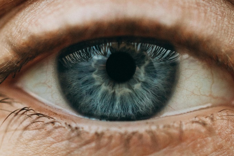 How Far Can the Human Eye See? Unveiling the Extensive Range of Eyesight