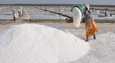 Human Activities Disrupt Natural Salt Cycle on a Global Scale; Experts Warn of Possible Existential Threat