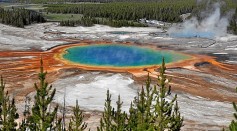 Why Yellowstone's Grand Prismatic Spring Has Vibrant, Rainbow Colors?