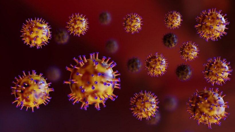 Vampire Viruses Observed For the First Time in the US: What Are These Pathogens?