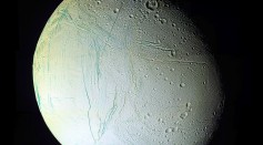 Enceladus Unveiled: Cassini's Clues and New Insights into the Potential for Life in Saturn's Icy Moon